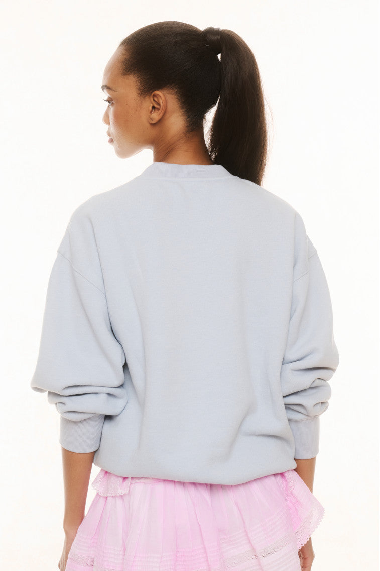 Light blue fleece pullover shown from the back, crew neck and long sleeves