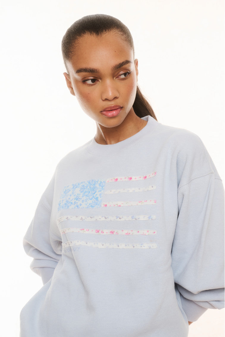 Light blue fleece pullover with crew neck and striped graphic on chest