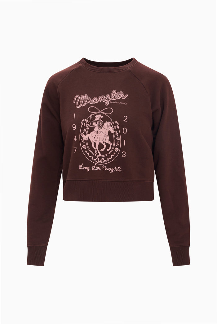 Burgundy crew-neck sweatshirt with front horseshoe graphic, long sleeves