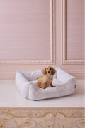 Light blue printed dog bed with cushioned bolstered sides