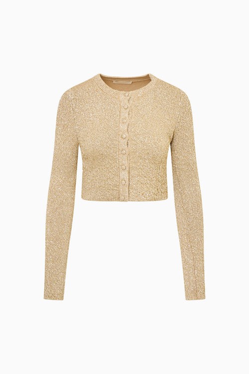 Ferra Sequin Stretch Knit Cardigan