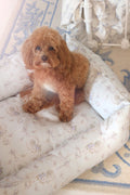 Printed dog bed with light blue floral cover and a small brown dog resting inside