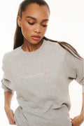Gray pullover sweatshirt close-up with small multi-color chest logo graphic