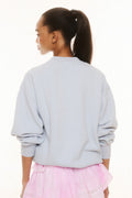 Light blue fleece pullover shown from the back, crew neck and long sleeves