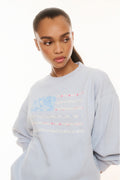 Light blue fleece pullover with crew neck and striped graphic on chest